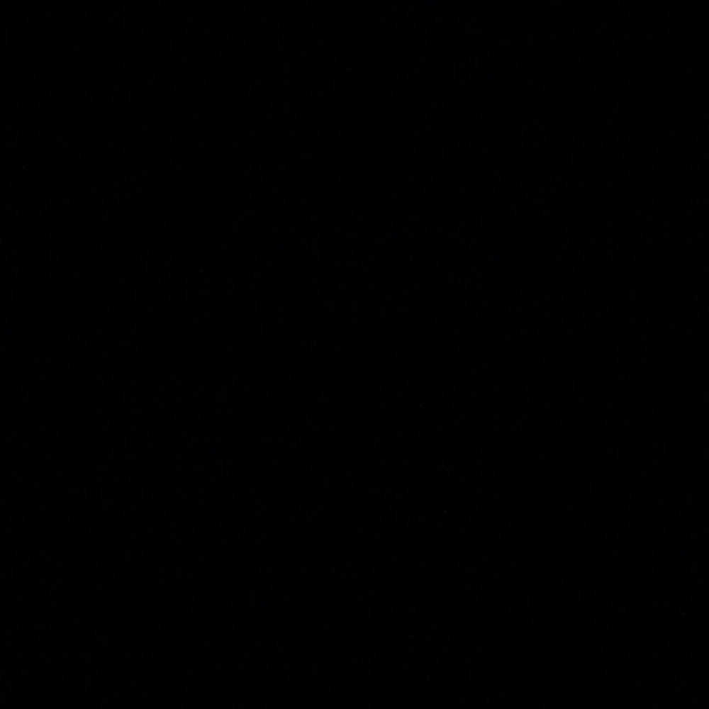 Meet your Posher, Mya